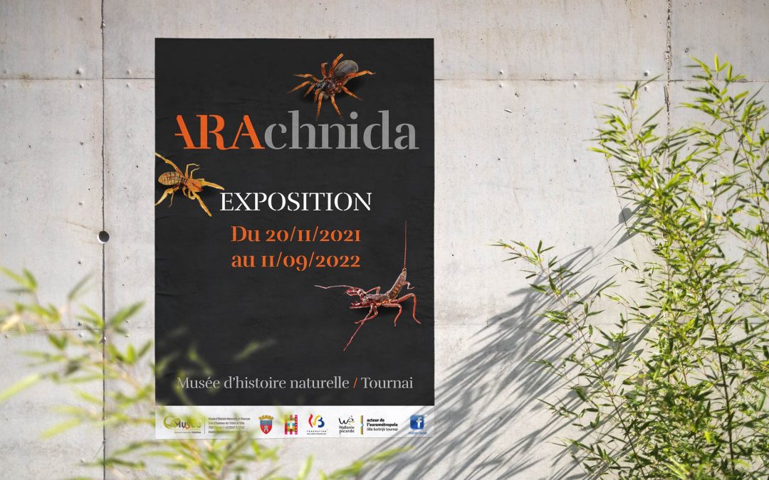 Exposition Arachnida