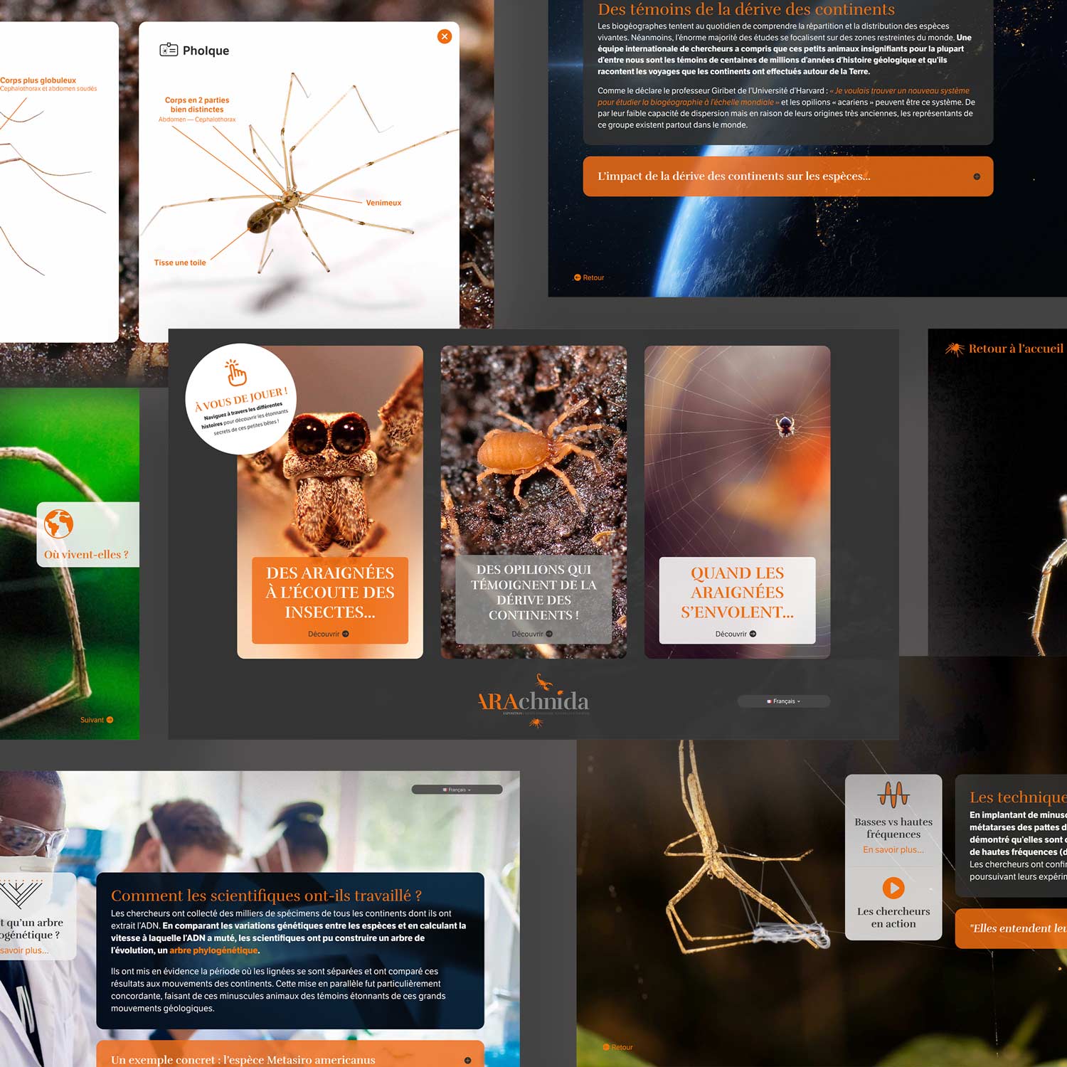 Exposition Arachnida, Musée d'Histoire Naturelle et Vivarium de Tournai, Ecran interactif