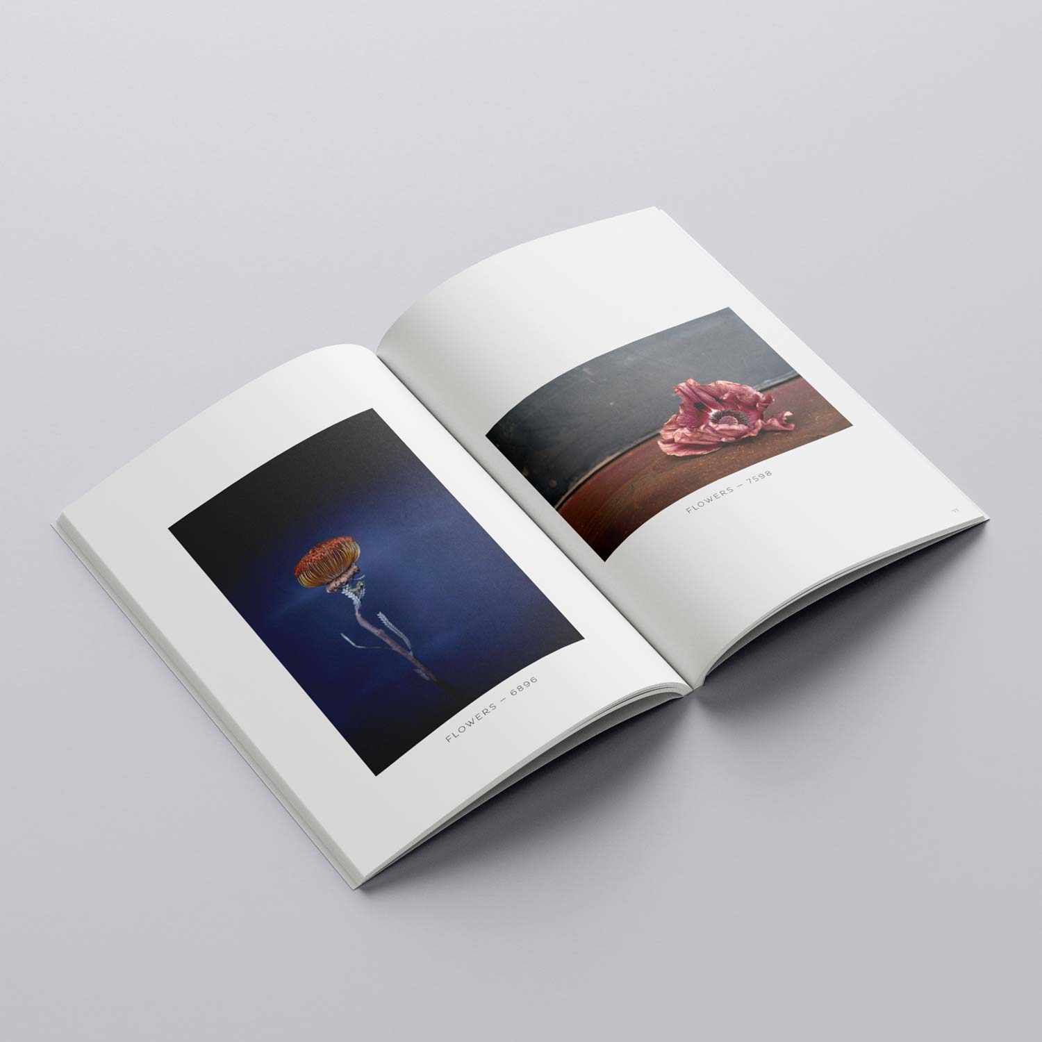 Labelpages | Portfolio | Thierry Dubrunfaut – Exposition "FLOWERS" | Livre d'art