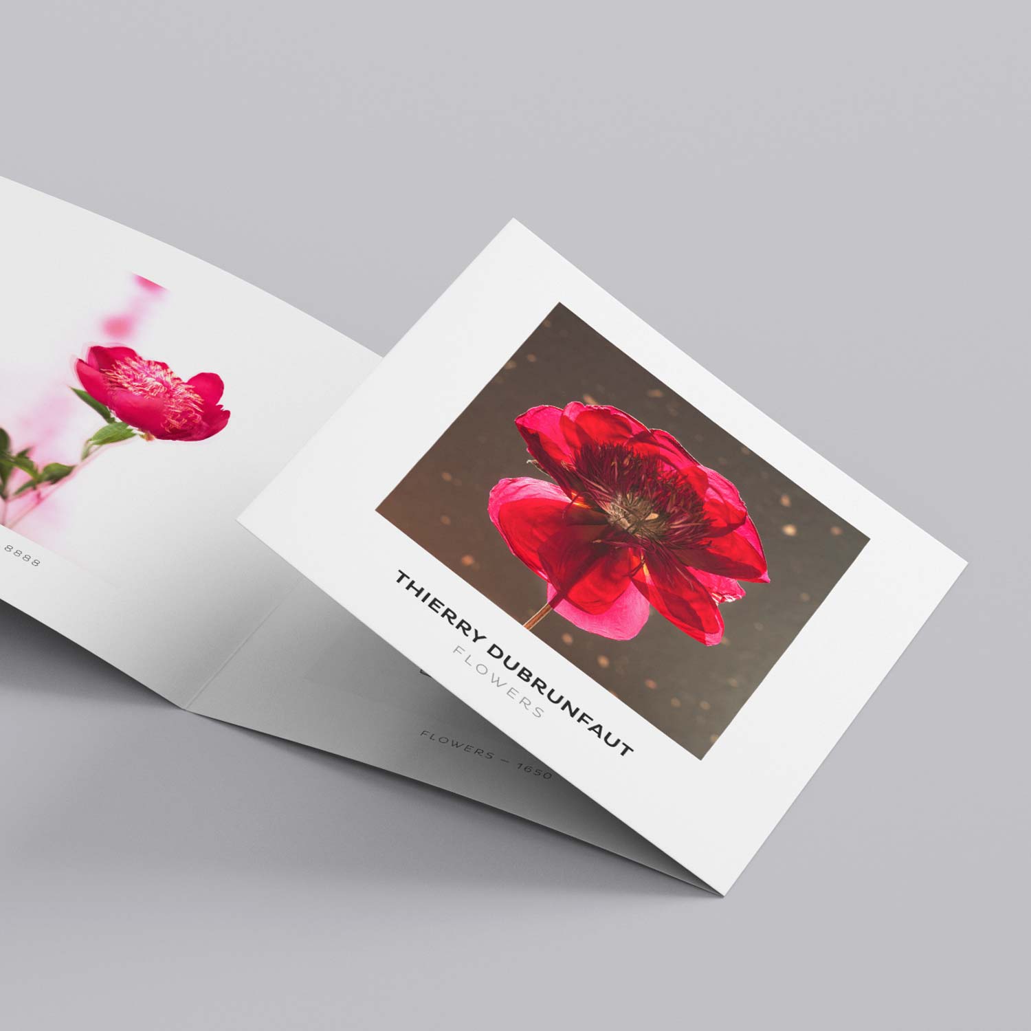 Labelpages | Portfolio | Thierry Dubrunfaut – Exposition "FLOWERS" | Dépliant